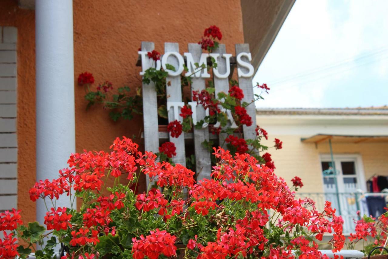 לינה וארוחת בוקר פייטרלצ'ינה Domus Tua מראה חיצוני תמונה